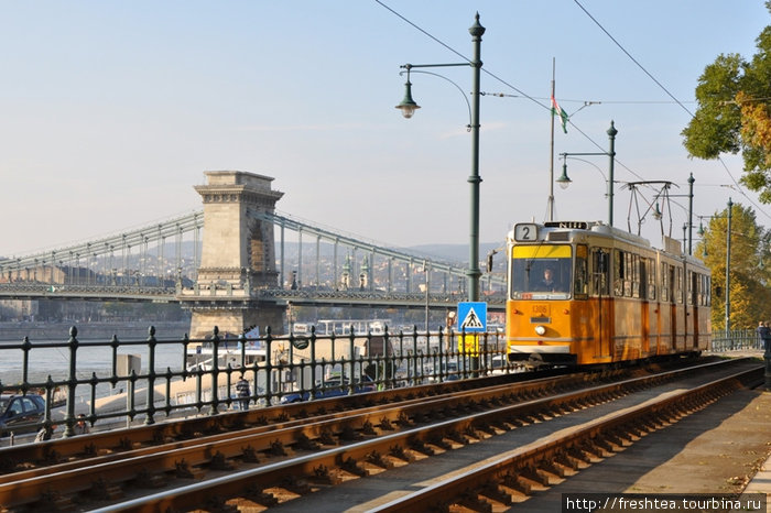 даже трамваи в Будапеште по-осеннему задорные и солнечные! Будапешт, Венгрия