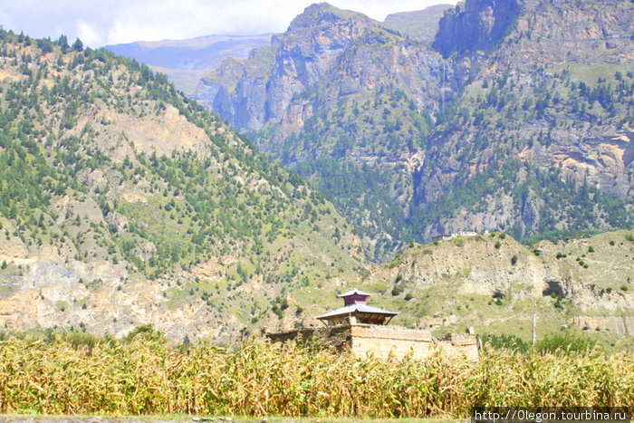 Жизнь деревни зависит от бренди Тукуче, Непал