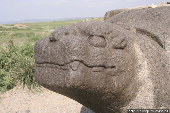 Выражение морды (лица?) у черепахи хитрое, но вроде доброе. Каракорум, Монголия