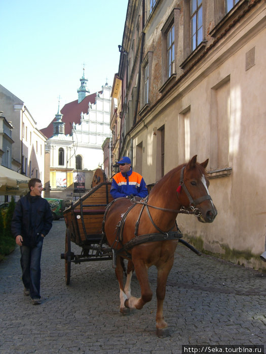На работу на лошади Люблин, Польша