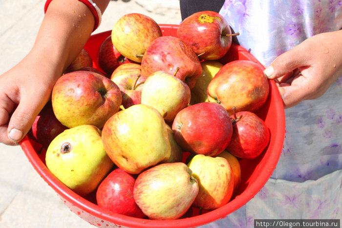 Местные яблоки Марфа, Непал