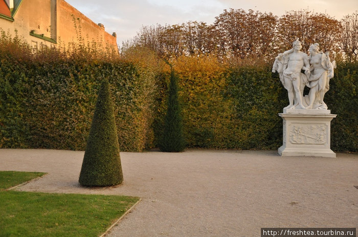 Растения строгих форм будто вторят мраморным скульптурам. Вена, Австрия