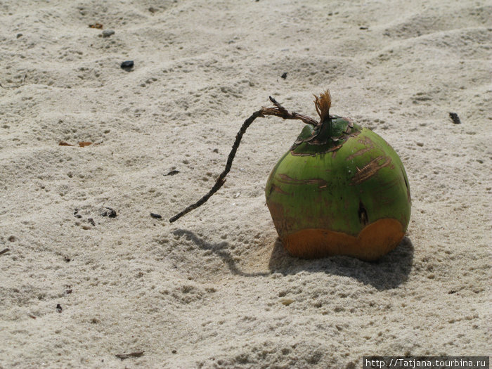 кокосовая бомба Укунда, Кения