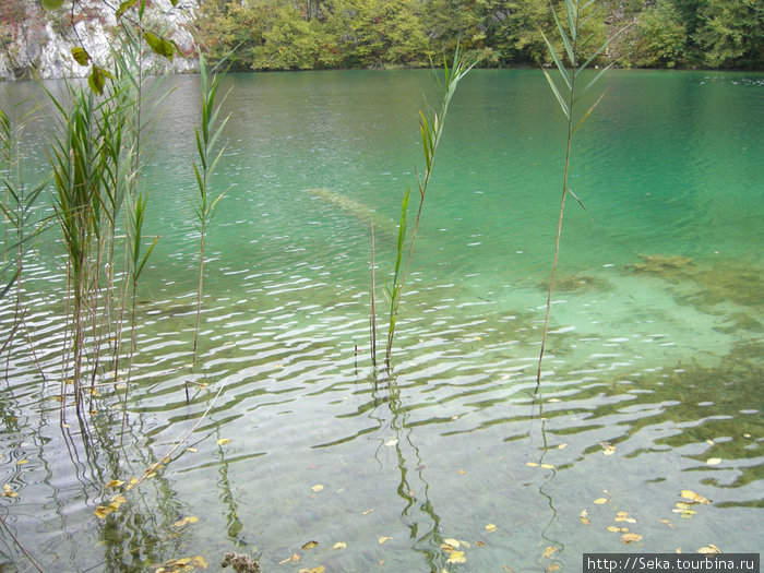 Осенью на Плитвицких озерах Национальный парк Плитвицкие озёра, Хорватия