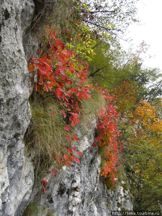 Буйство красок Национальный парк Плитвицкие озёра, Хорватия