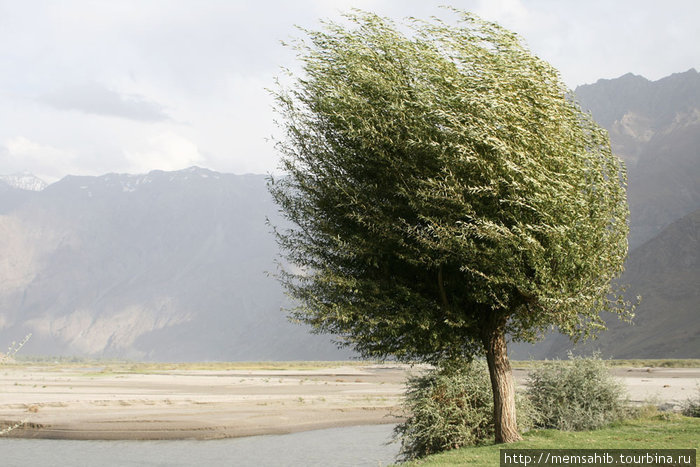 Унесенные ветром. В окрестностях Хорога Горно-Бадахшанская область, Таджикистан