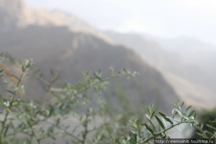 Бесконечное путешествие оканчивается шир-чаем Горно-Бадахшанская область, Таджикистан