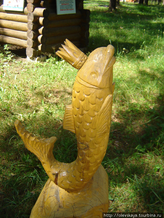 Золотая рыбка Липин Бор, Россия