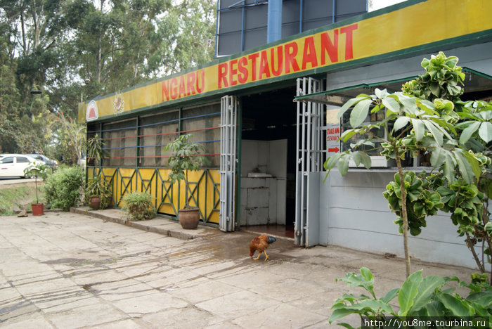 кафешка Найроби, Кения