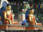 Утренняя разминка с Буддами