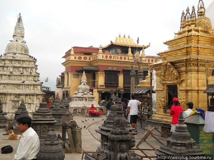 Непал. Записки одинокого треккера. Часть 5. Катманду, Непал