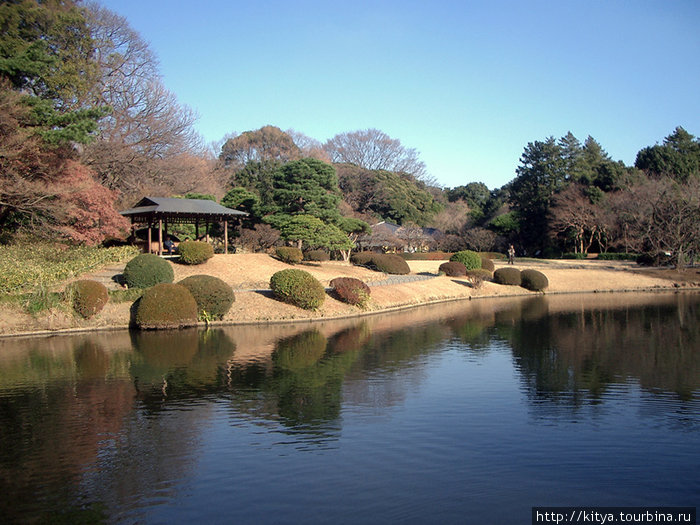 Японский сад Токио, Япония
