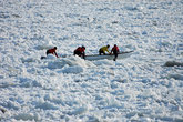 Катание на лодке среди льдин — какой-то специальный местный вид спорта...