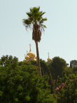 вид на купола православного храма Марии Магдалены