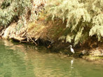 река Иордан, где происходило и происходит до сих пор крещение верующих