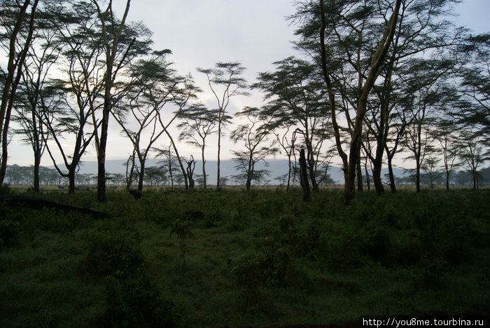 Lake Nakuru Национальный Парк - озеро