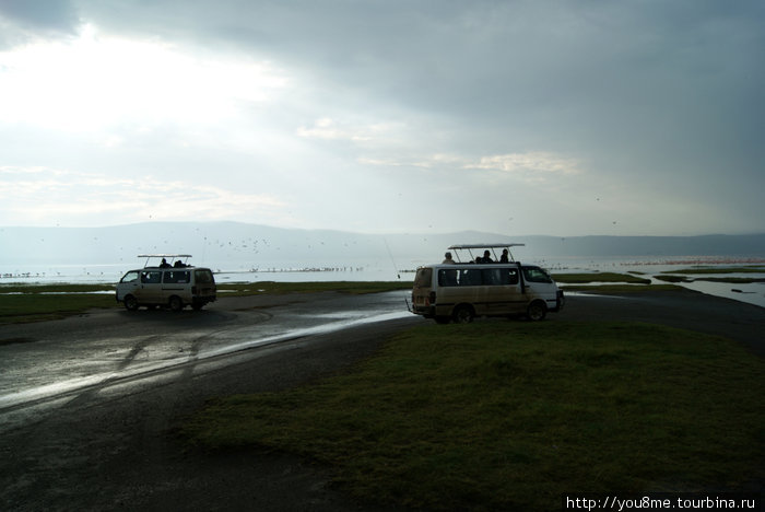 туристы на сафари Озеро Накуру Национальный Парк, Кения