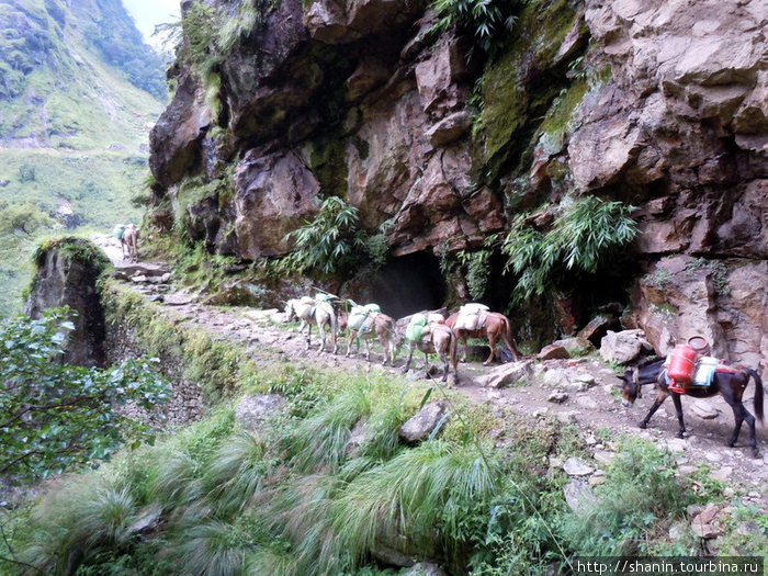 Караван на скальной тропе Бесисахар, Непал