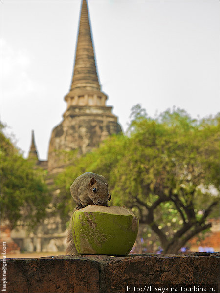 Wat Phra Si Sanphet Аюттхая, Таиланд