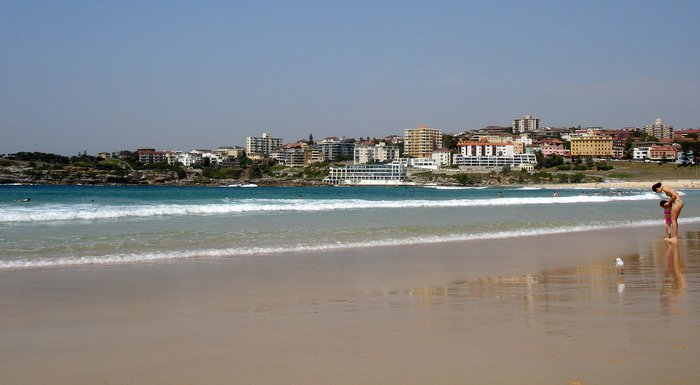 Любимый пляж жителей Сиднея
