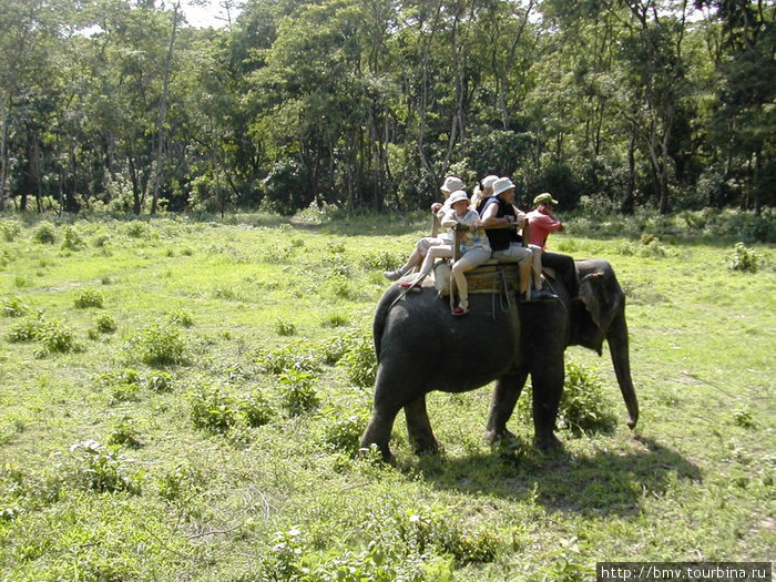 Прогулка на слонах в Чатване.