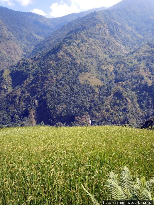 Вокруг Аннапурны - 35. Сантош Хил - Шикха Зона Дхавалагири, Непал