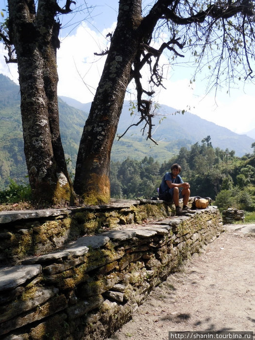 Место отдыха под деревом Зона Дхавалагири, Непал