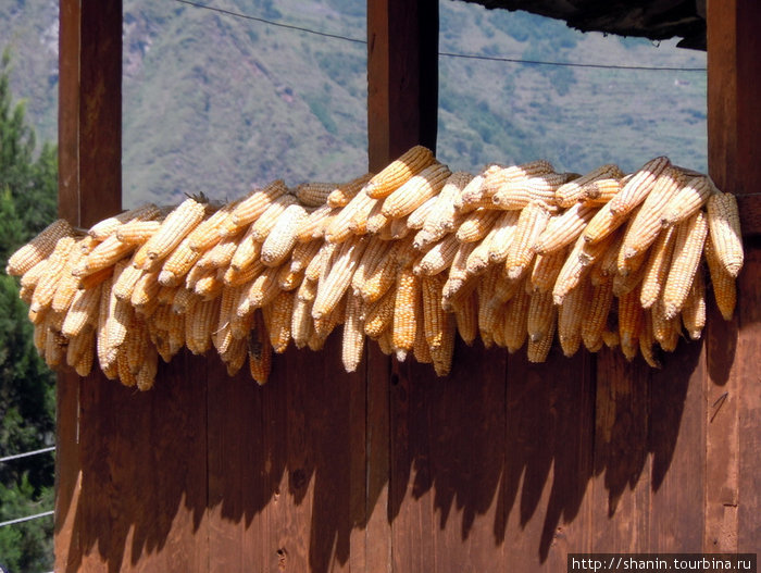 Кукуруза Зона Дхавалагири, Непал