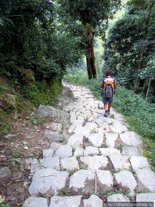 Дорога по-прежнему выложена камнем Зона Дхавалагири, Непал