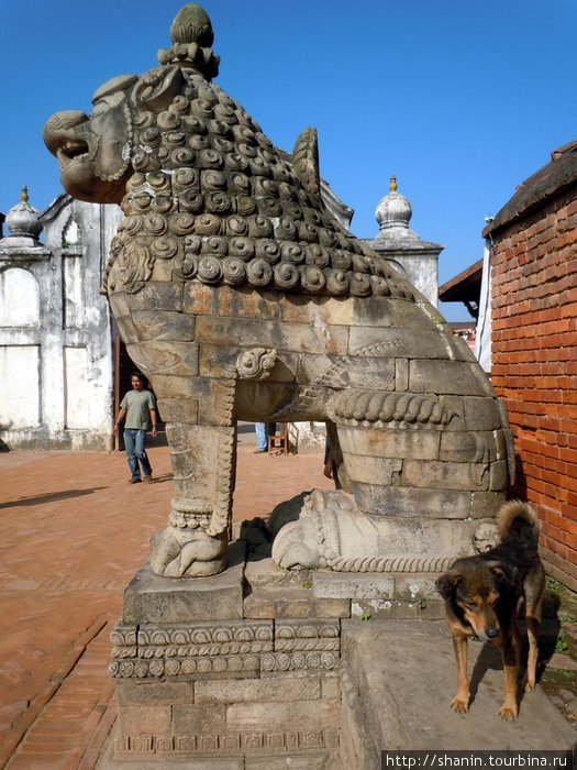 Каменный лев Бхактапур, Непал