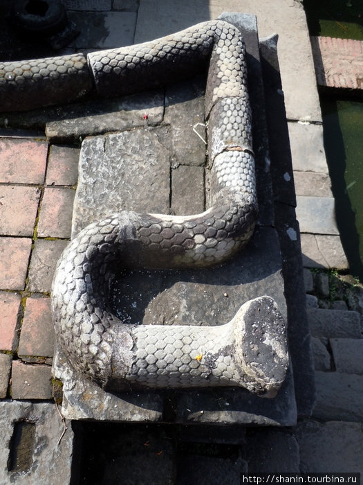 Змея без головы Бхактапур, Непал