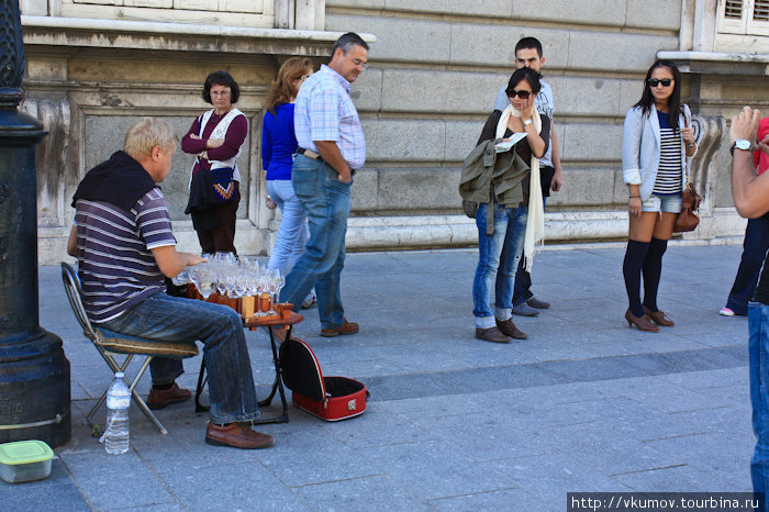 Музыкант около Королевского дворца. Мадрид, Испания