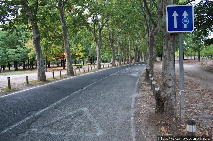 Велосипедное кольцо Мадрида. Качество дороги не очень, конечно, но всё же. Мадрид, Испания