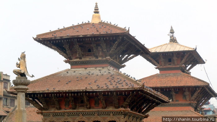 Крыши Патан (Лалитпур), Непал