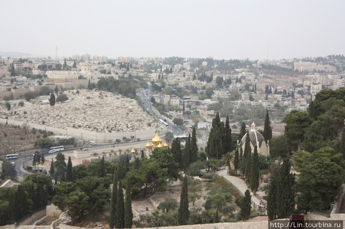Масличная гора Иерусалим, Израиль