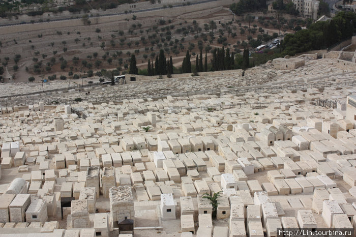 еврейское кладбище на Масличной горе Иерусалим, Израиль