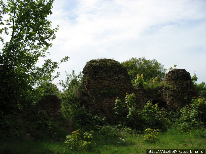 Руины замка Fishhausen Приморск, Россия