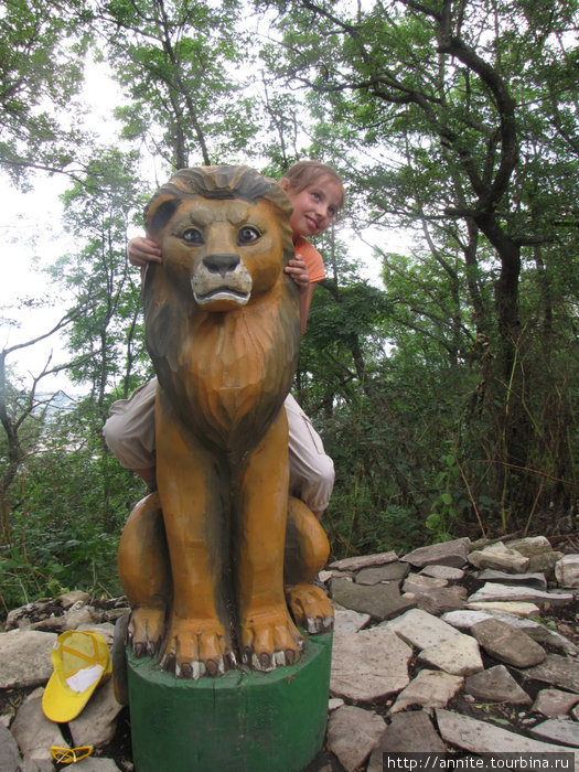 2010 г. Появилось множество фигурок животных. Фигурка льва в верхнем парке. Геленджик, Россия