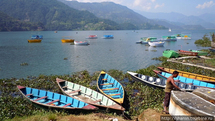 Лодки на берегу озера Фева Покхара, Непал