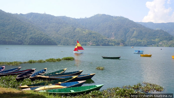Лодки на берегу озера Фева Покхара, Непал