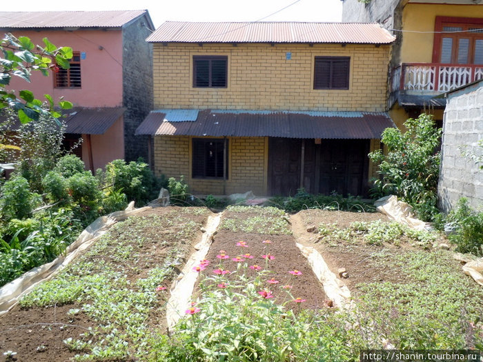 Огород во дворе дома Покхара, Непал