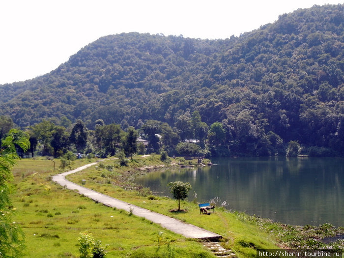 Дорожка по берегу озера Фева Покхара, Непал