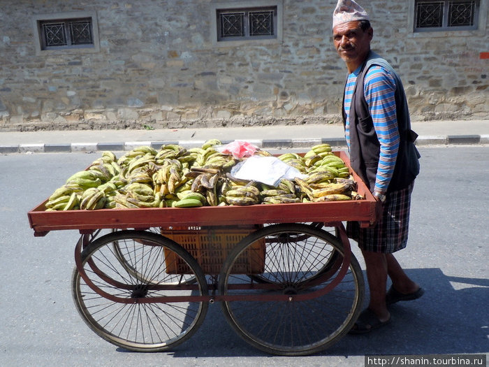 Продавец бананов Покхара, Непал