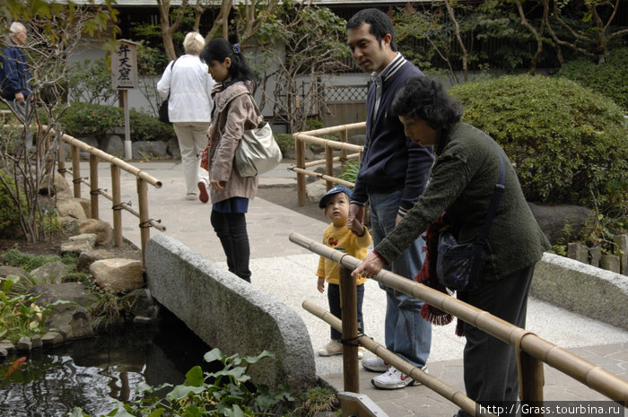Дети Японии Токио, Япония