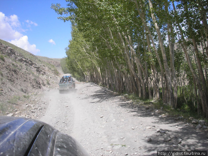 И такая дорога, с одной стороны горы, а сдругой зеленка. Майданшахр, Афганистан