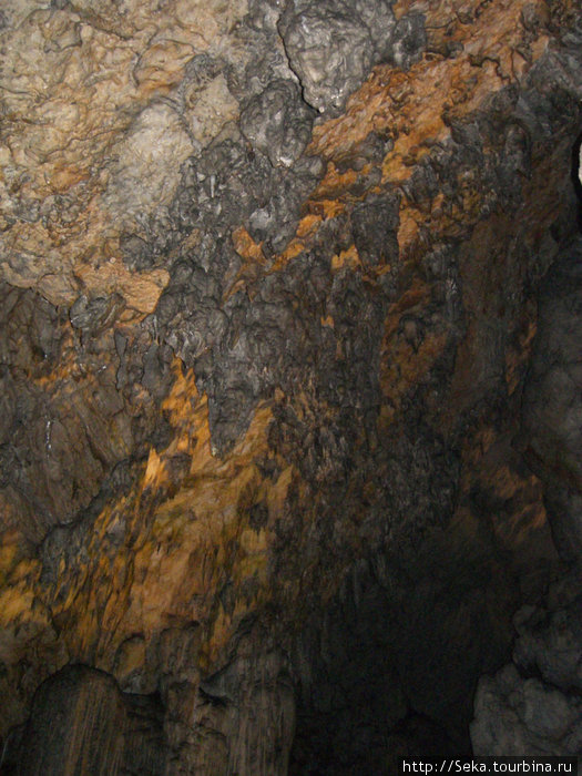 Пещера Постойна Яма Постойна, Словения