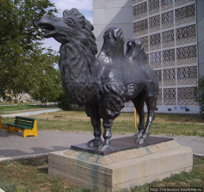 Статуя верблюда Элиста, Россия