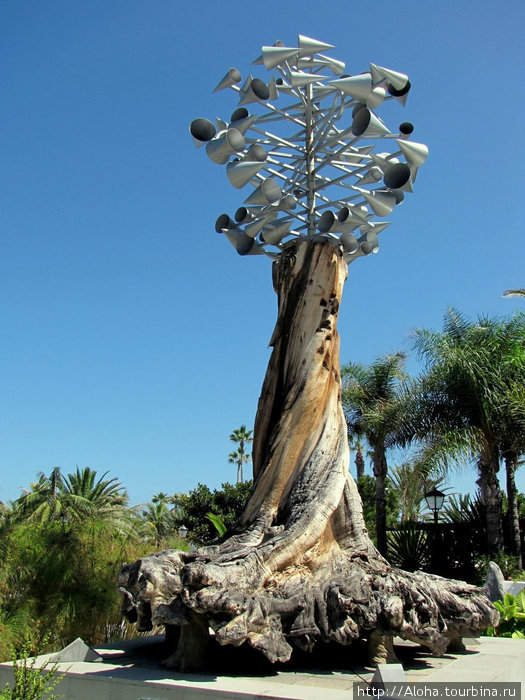 Тоже дерево. Пуэрто-де-ла-Крус, остров Тенерифе, Испания