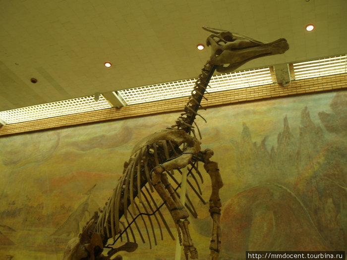Динозавры в Москве Москва, Россия