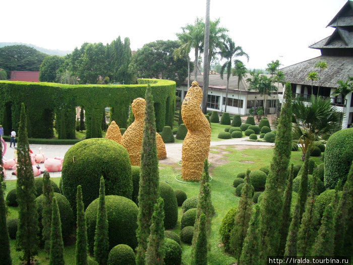 В Парке орхидей «Нонг Нуч» композиции, выполненные из кукурузных початков. Таиланд